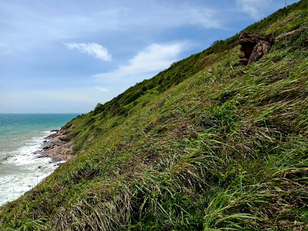 Grass on the islandの写真素材