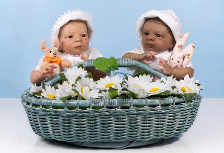 Two cute babies with bunny  in flower basketの写真素材