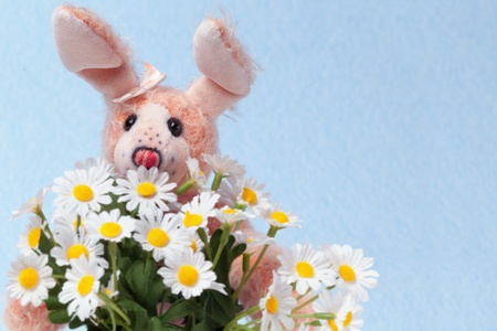 Cuddly, lovable little rabbit toy with bouquet of daisy