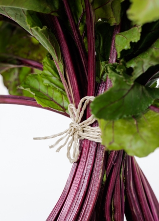 bunch of  Ruby Red Chard, isolated on white  