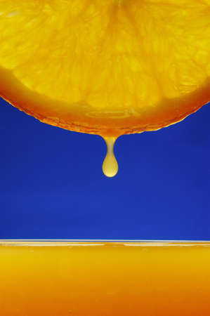 Orange Drop                                の写真素材