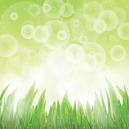 Green natural background with grass and rainのイラスト素材