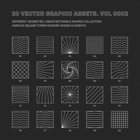 Vector Graphic Assets Various Outline Geometric Square Shapes Collection Isolate On Back. Different Grid Patterns Line Art Meta Modern Experimental Design Elements Set. Conceptual Trendy Illustrationのイラスト素材