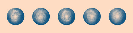 Circles with Various Unique Hand Drawn Concentric Hatch Vector Set Isolate Clip Art on Beige Background. Vintage Style Handmade Radial Engraving Cut Out Ovals Collection. Blue Ink Pen Art Illustrationのイラスト素材