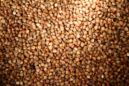Many bulked - grains of buckwheat groats - top view - close-upの写真素材