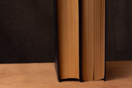 photo still life of two books on a wooden board on a dark background with empty space