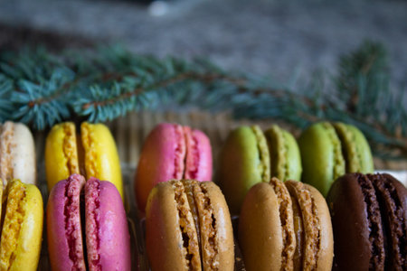 close-up multicolored macaron with a Christmas tree branch and a blurred backgroundの写真素材
