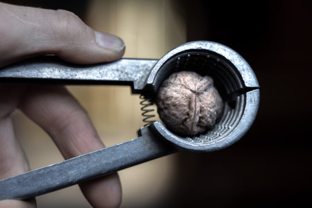 close-up of a human hand caressing a walnut with a metal toolの写真素材
