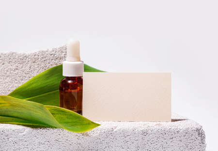 Cosmetology business card mock up. Eco natural style. Cement and green leaf. Beauty clinic card....