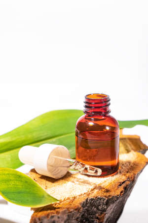 Natural cosmetology background. A glass dropper bottle with a pippette on eco materials like cement, leaf, cross section of the tree. Zero waste cosmetology, herbal ingridients. Oil massage. Spa oil. . High quality photoの写真素材