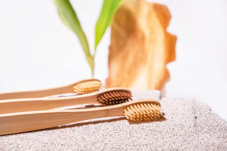 Zero waste toothbrushes on eco natural background with cement, green leaf and cross section of the tree. Bamboo or wooden toothbrush. Dental backgound. Morning routine. High quality photoの写真素材