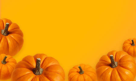 Pumpkin modern banner background with orange natural color. Vegetable pumpkin poster or wallpaper....
