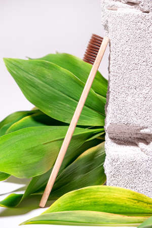 Natural background with bamboo toothbrush, green leaves and white textured stone. Still life...