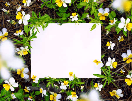 White paper card mockup with yellow flower and green leaves on nature ground. Flat lay