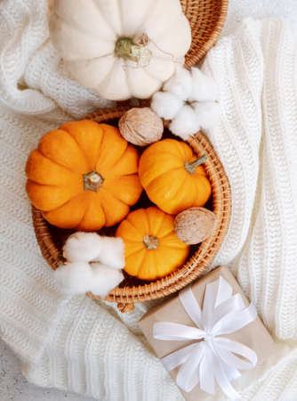 Autumn modern banner with pumpkin composition. Thanksgiving day banner, phone wallpaper. Seasonal recipe presentation banner. Cooking book. Thanksgiving day greeting card with pumpkin, walnuts, cotton. High quality photoの写真素材