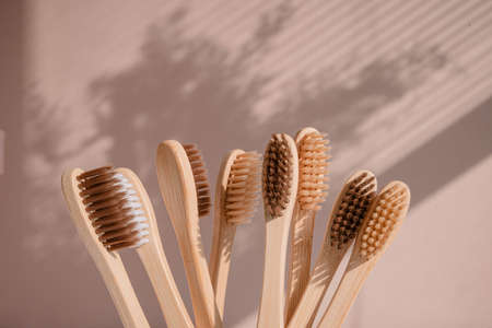 Zero waste bamboo toothbrush on pastel background with floral shades . High quality photoの写真素材