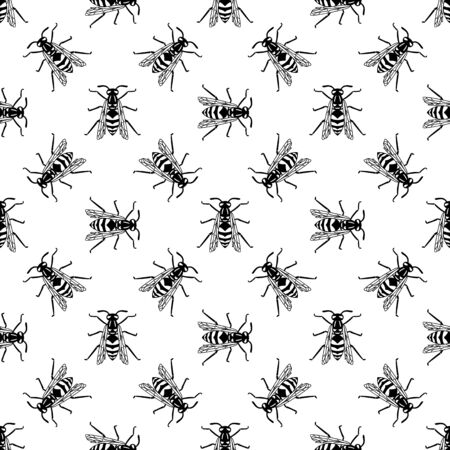 Seamless pattern of black wasp isolated on white background. Vector illustration of wasp insect in line simple style.のイラスト素材
