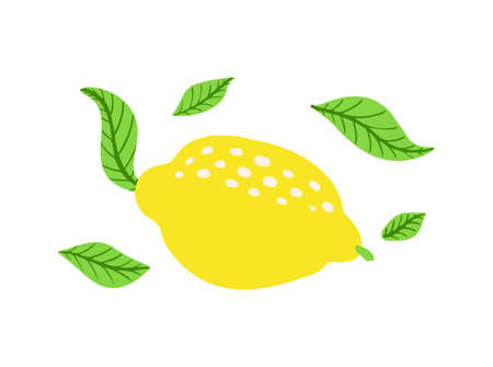 Fresh lemon fruits with branch and leaves. Citrus and leaf. Cartoon style, flat icon.のイラスト素材