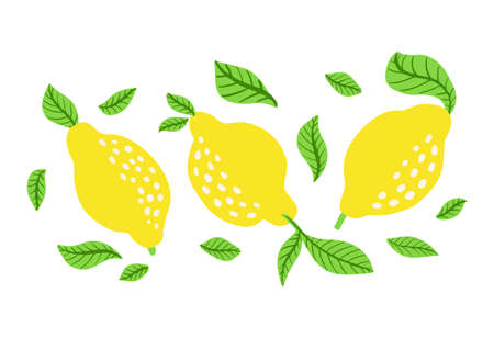 Fresh lemon fruits with branch and leaves. Citrus and leaf. Cartoon style, flat icon. Vector illustration isolated on white background. Print for packaging, template for web.のイラスト素材