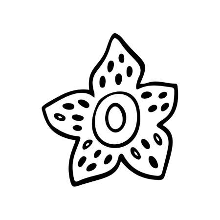 Silhouette of Rafflesia flower. Tropical plant floral doodle element. Outline Rafflesia hawaiian flower. Hand drawn foliage icon. Vector illustration isolated on white background. Exotic floral sketchのイラスト素材