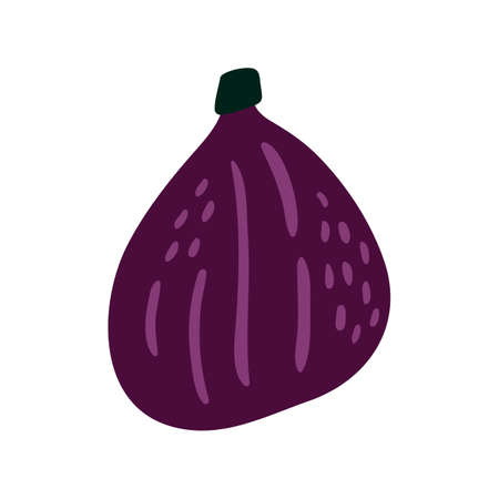 Figs vector illustration. Fig icon in cartoon style. Isolated on white background.のイラスト素材