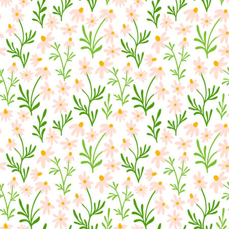 Chamomile and daisy seamless pattern. Wildflower print design with hand drawn flowers on white background. Simple field floral pattern for packaging, fabric design. Blossom herbs ornament.のイラスト素材