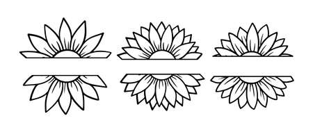 Sunflower split monogram set. Flower silhouette vector illustration. Sunflower graphic collection, hand drawn icon for packaging, decor. Petals frame, black silhouette isolated on white backgroundのイラスト素材