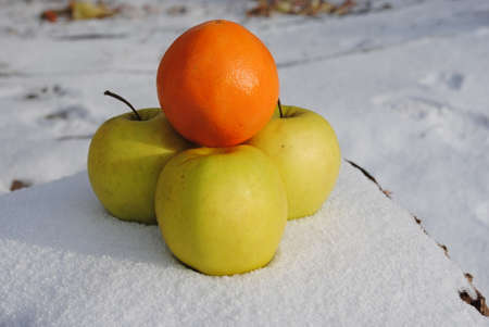 fruits - apples and orange on the snowの写真素材