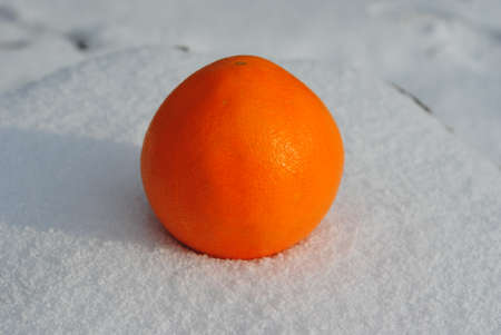 still life - fresh orange on white snowの写真素材