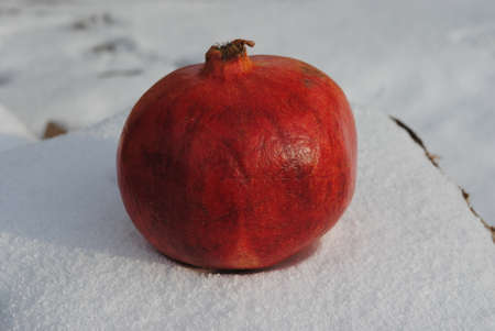 red pomegranate on white snowの写真素材