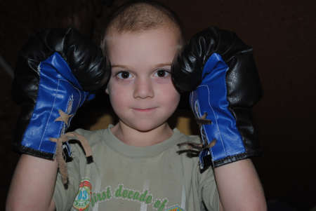 little boxer, boy in boxing glovesの写真素材
