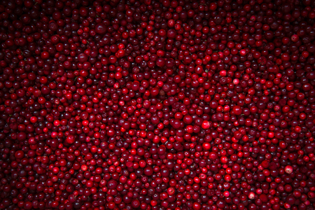 Ripe cranberries on background with vignette.
