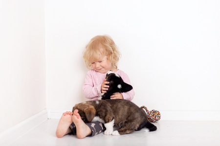 child with little dogs playing at home. girl with puppies. baby girl kissing, hugging with puppy on white backgroundの写真素材