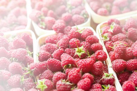 A lot of fresh raspberries in containers. Useful food