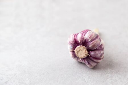 one head of fresh eco farm garlic on a light stone backgroundの写真素材