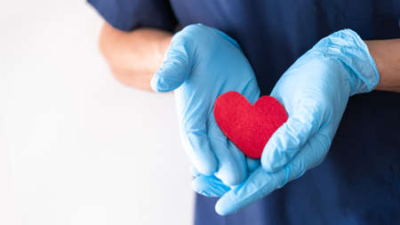 hands of a male doctor dressed in medical blue gloves hold a red heart close-up. medical banner with copy space for text. healthcare concept.の写真素材