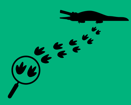 Find the crocodile on the map. Magnifying glass with trail. Flat style.のイラスト素材