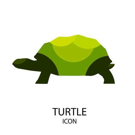 Turtle vector icon on white background. Flat design.のイラスト素材