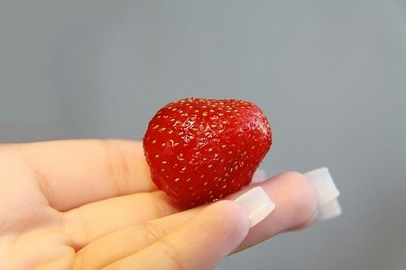 Strawberry on hand on grey backgroundの写真素材