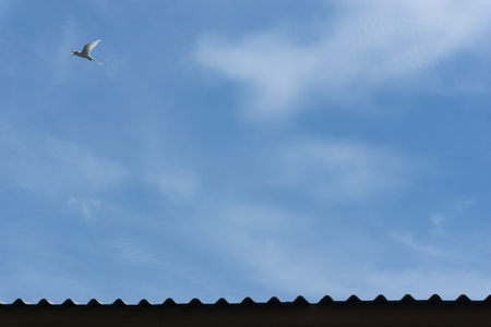 blue sky with clouds background. nice cloud formation over the clear sky. Beautiful and Amazing azure sky with clouds and sunshine for backgroundの写真素材