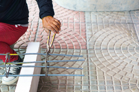 Female workers are using wire cutters and steel wire bundles to steel rodsの写真素材