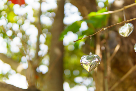 silver heart hanging on the branch of tree with bokeh of sunlight through the tree. copy space for text. valentine day , love concept.の写真素材