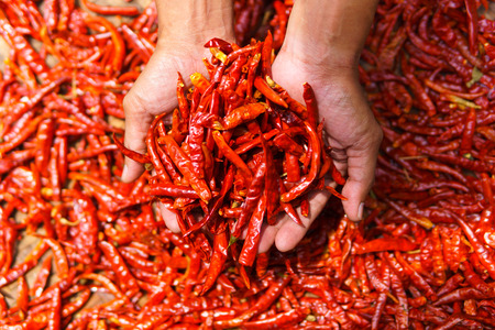 pile of Dried Red Chili pepper on two hand of asian men for abstract backgroundの写真素材