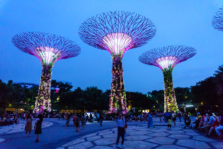 Singapore. October 21, 2017. super tree grove in garden by the bay at night. one of the beautiful place to visit for tourist in singapore.のeditorial素材