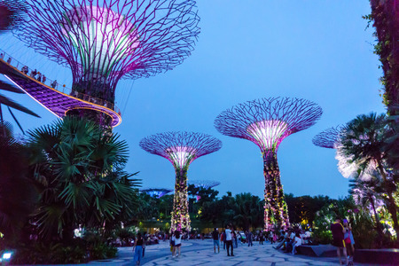 Singapore. October 21, 2017. super tree grove in garden by the bay at night. one of the beautiful...