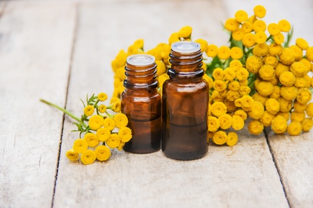 tansy medicinal extract, tincture, decoction, oil, in a small bottle natureの写真素材