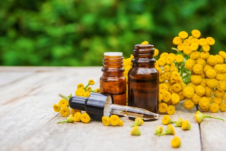 tansy medicinal extract, tincture, decoction, oil, in a small bottle natureの写真素材