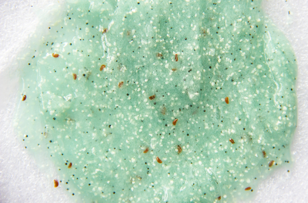 Texture cosmetic gel scrub for face and body. Selective focus. nature.の写真素材