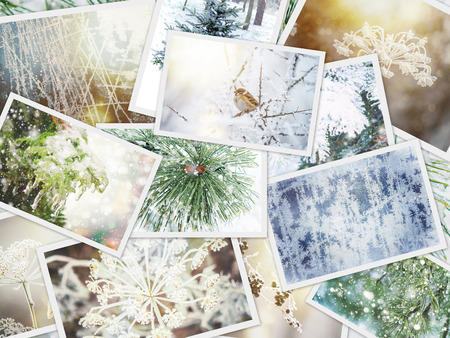 collage of winter nature pictures. Seasons. Selective focus. Nature.の写真素材