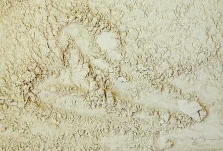 Cosmetic texture for face and body. Spa Selective focus. nature.の写真素材